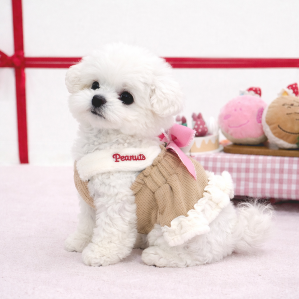 Peanuts Ribbon One Piece