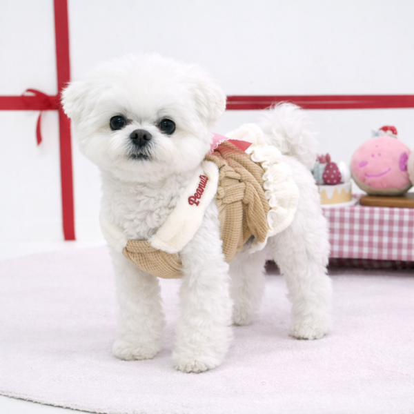Peanuts Ribbon One Piece