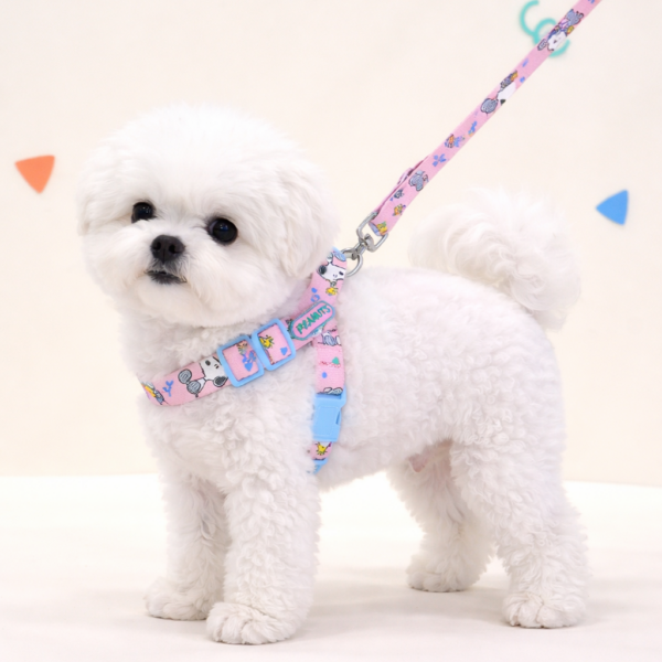 Peanuts Themes Harness Leash Set