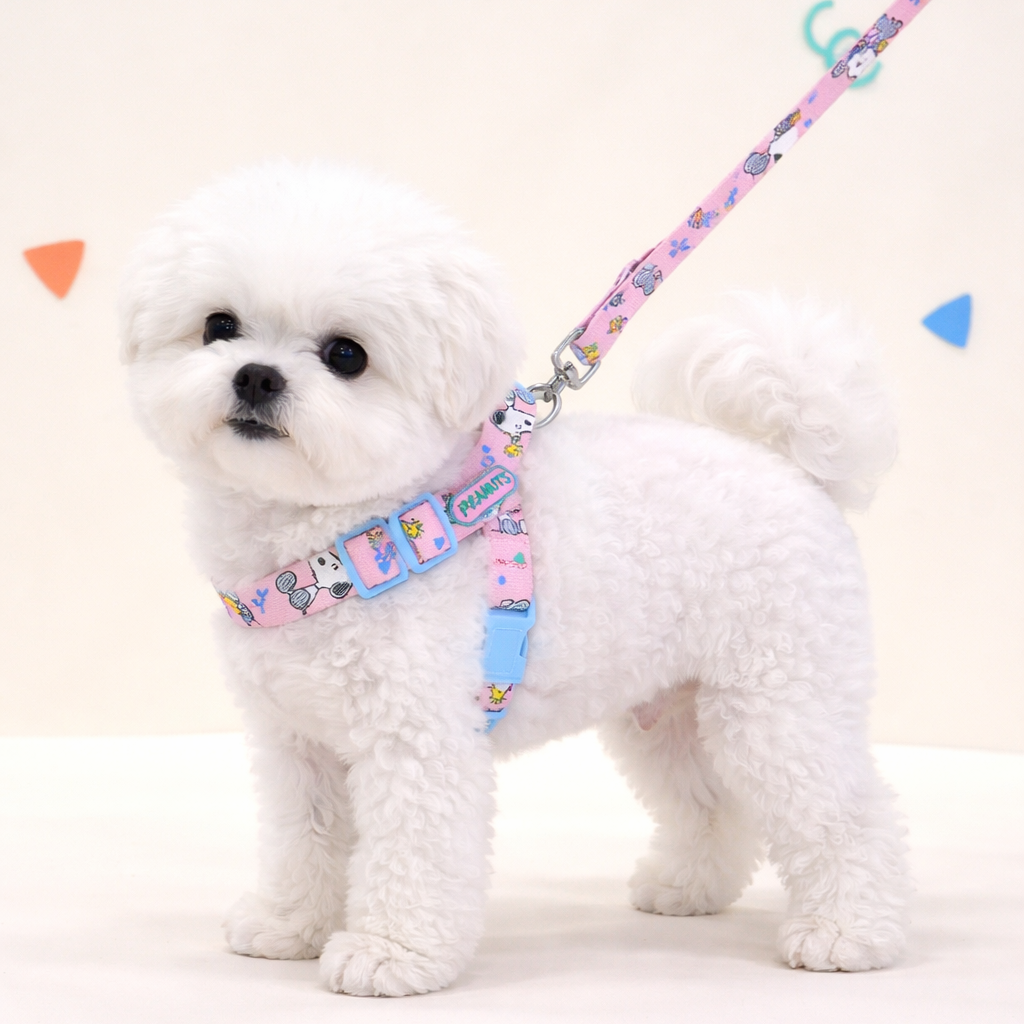 Peanuts Themes Harness Leash Set - Image 1