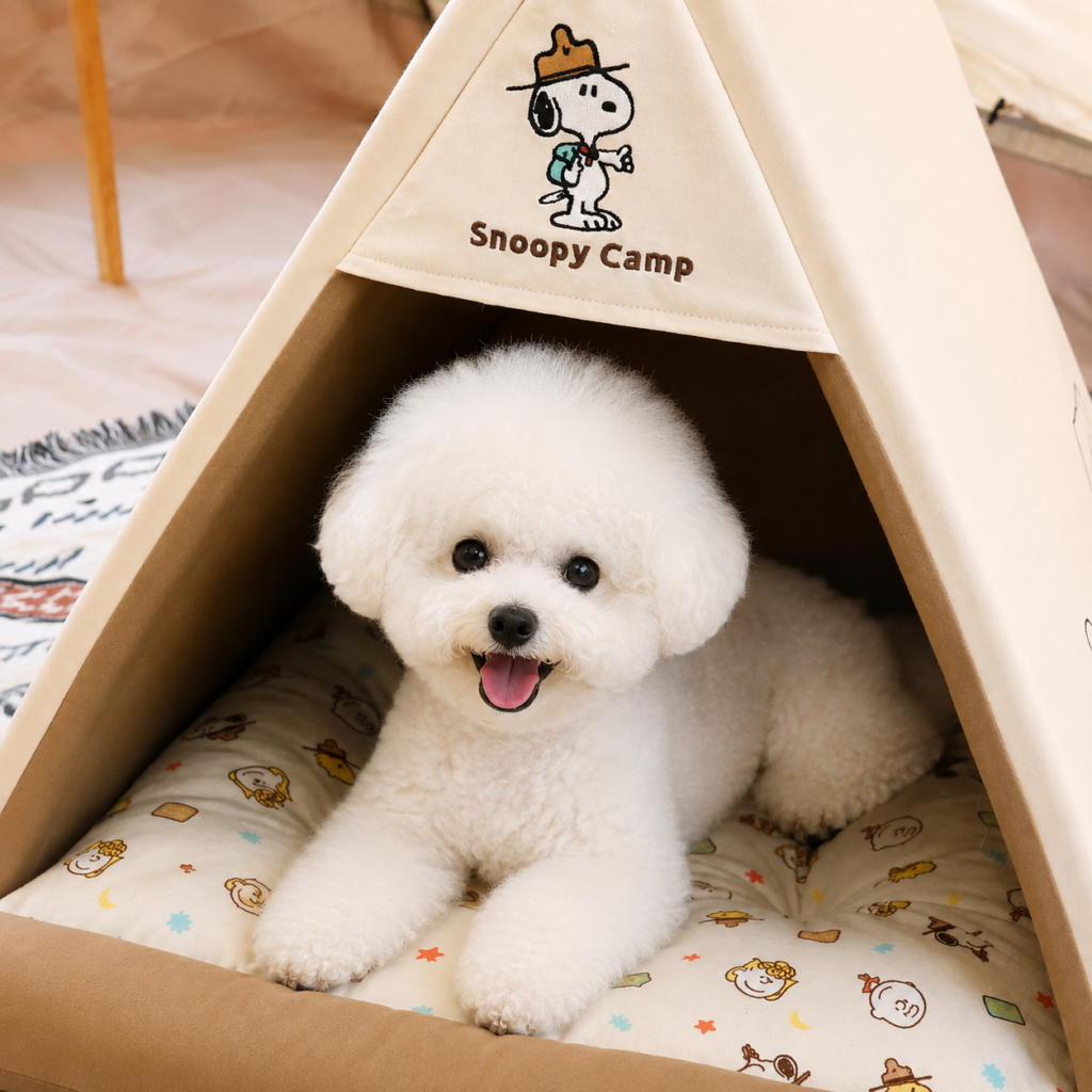 Peanuts Scout Camp House
