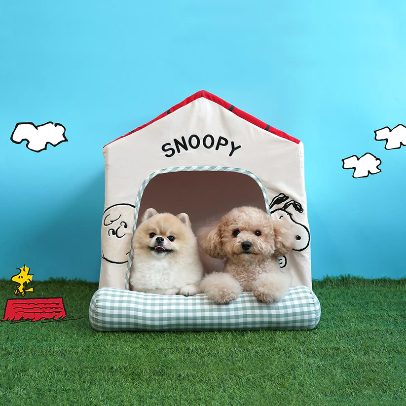 Snoopy Frame House - Image 1