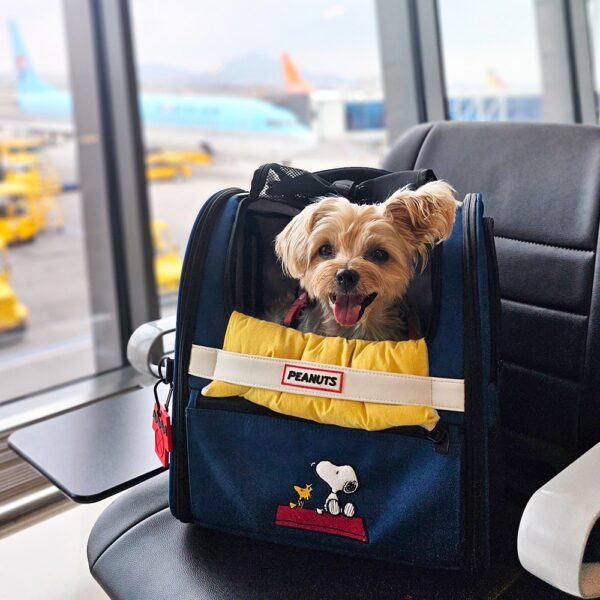 Peanuts Stay Front Bag