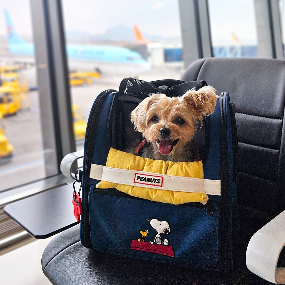 Peanuts Stay Front Bag - Image 1