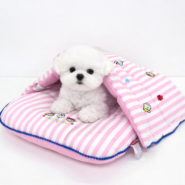 Peanuts Stripe Stroller Cushion & Guard