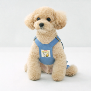 Peanuts Vintage Overall Pants Set - Image 3