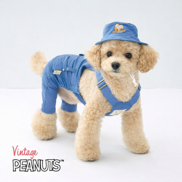 Peanuts Vintage Overall Pants Set