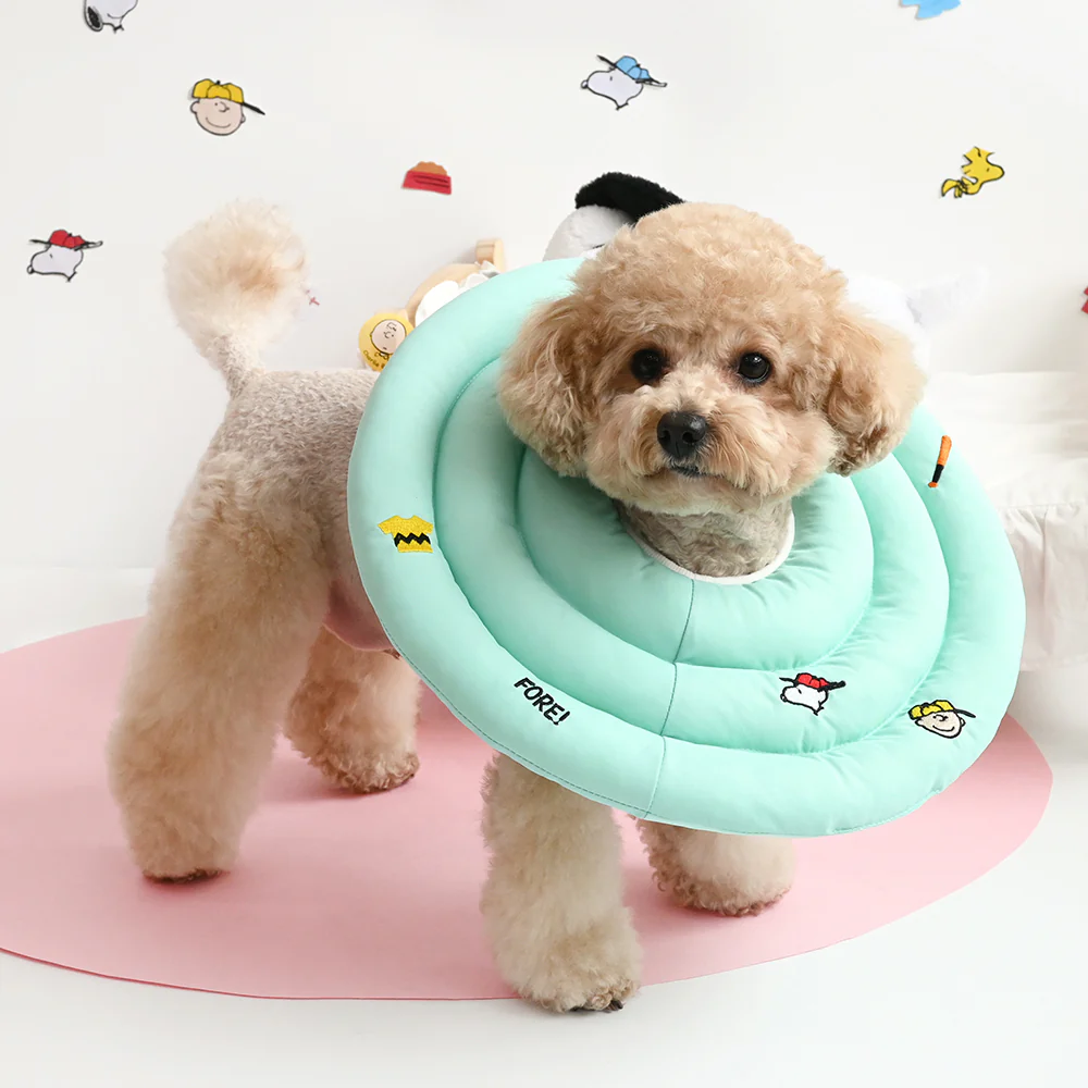 Peanuts Icon Neck Collar - Image 2