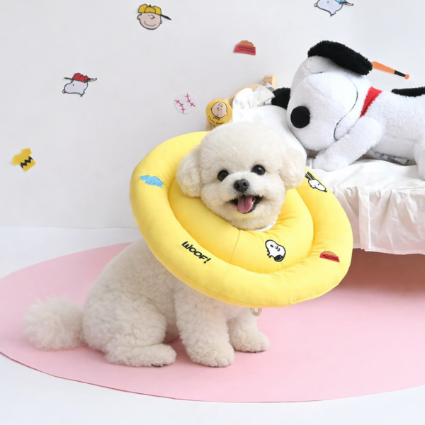 Peanuts Icon Neck Collar