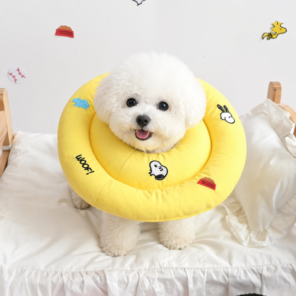 Peanuts Icon Neck Collar