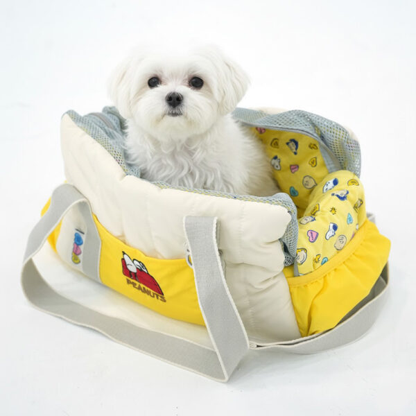 Peanuts Picnic Bag