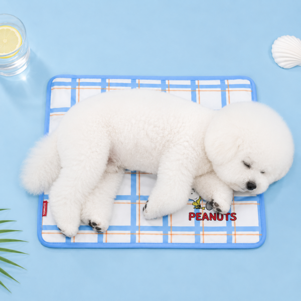 Peanuts Friends Cool Gel Mat