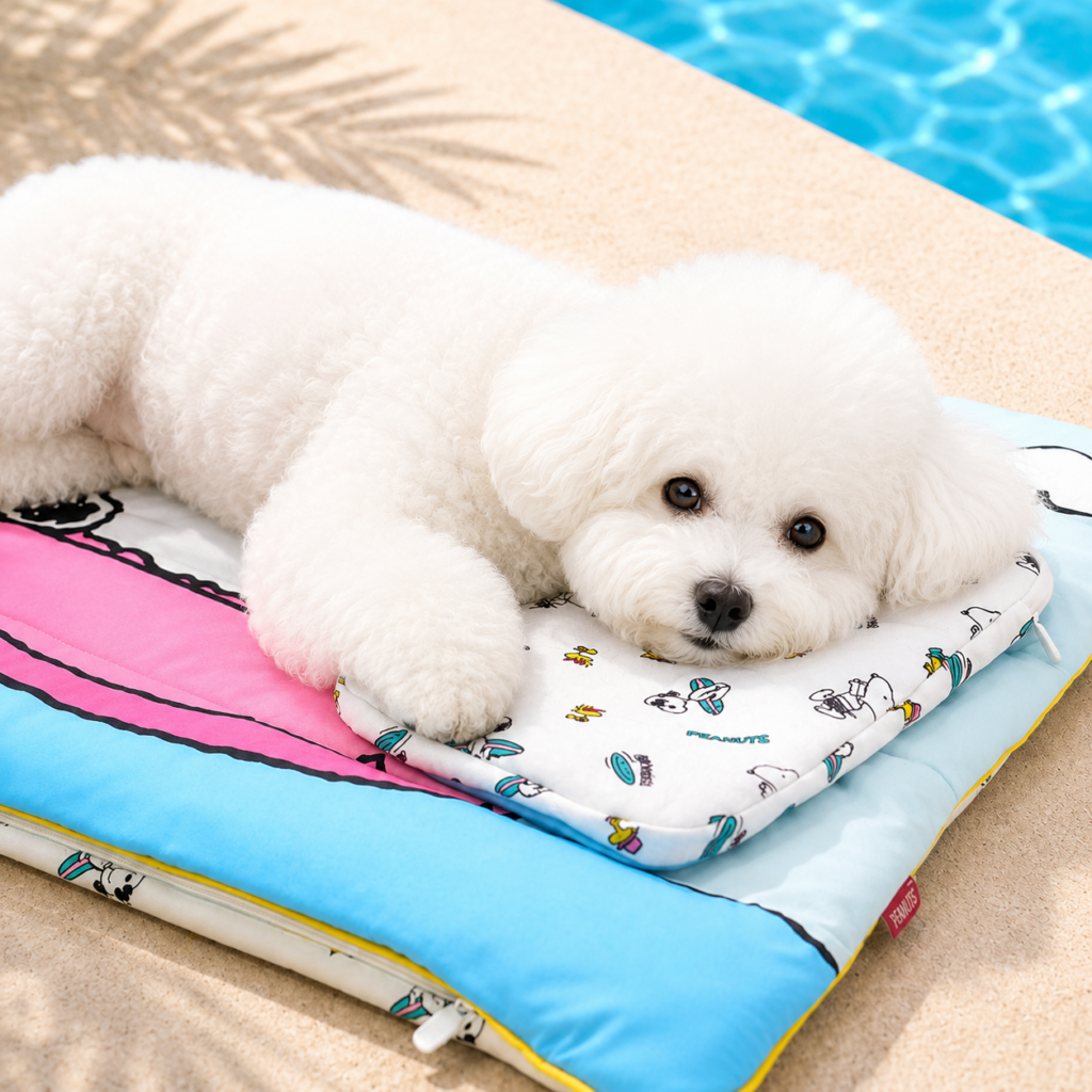 Peanuts Summer Ice Cool Pouch