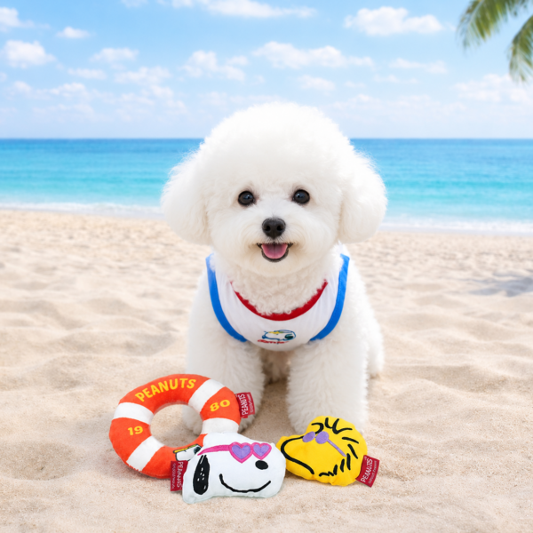 Peanuts Summer Sport Toy Set
