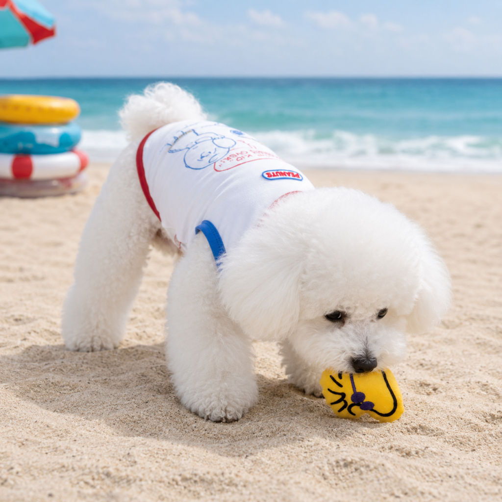 Peanuts Summer Sport Toy Set