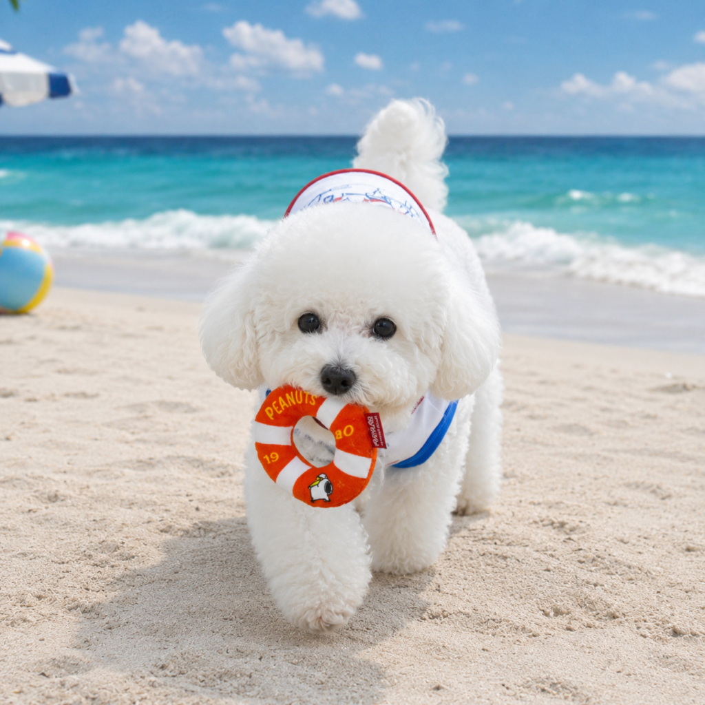 Peanuts Summer Sport Toy Set