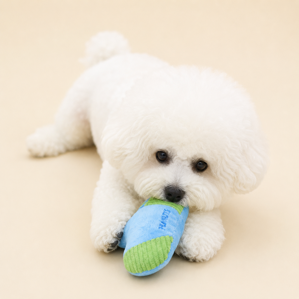 Peanuts Sock Snack Toy