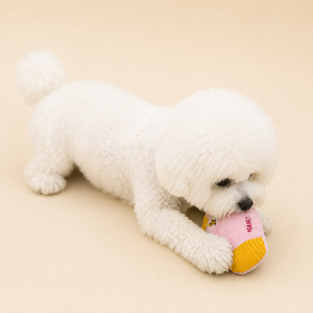 Peanuts Sock Snack Toy